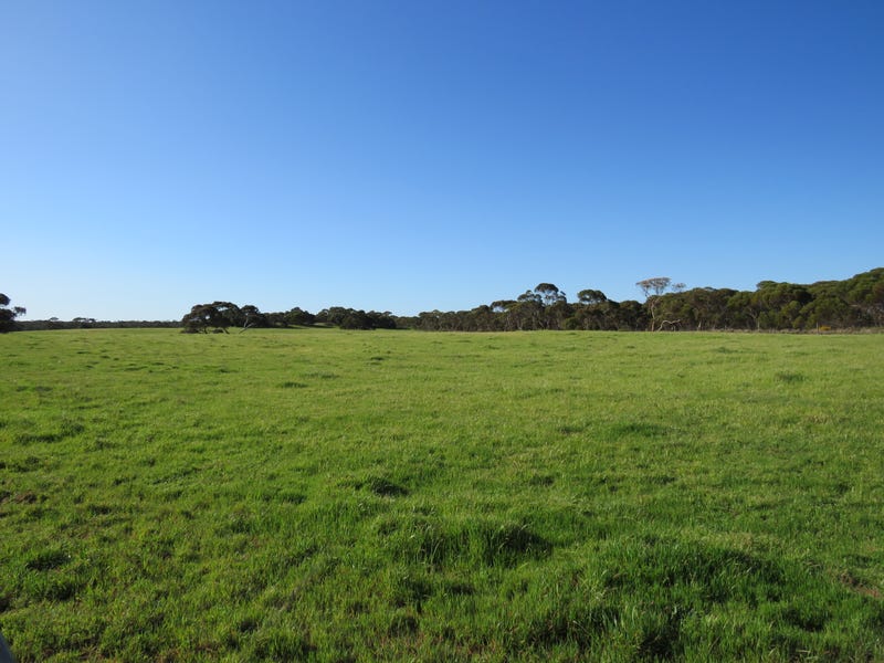 Real Estate & Property for Sale in SA (+1 location) Pg. 29 realestate