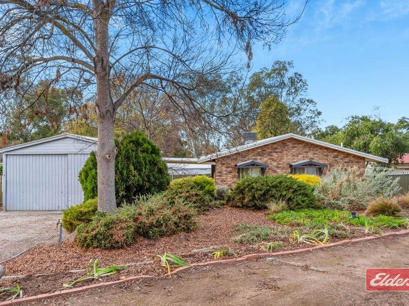 7 Lord Lynedoch Street, Lyndoch, SA 5351 Property Details