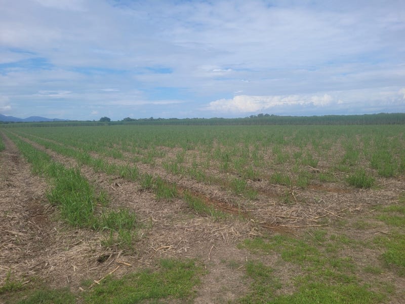 23, Taylors Beach Road, Halifax, Qld 4850 Other for Sale realestate