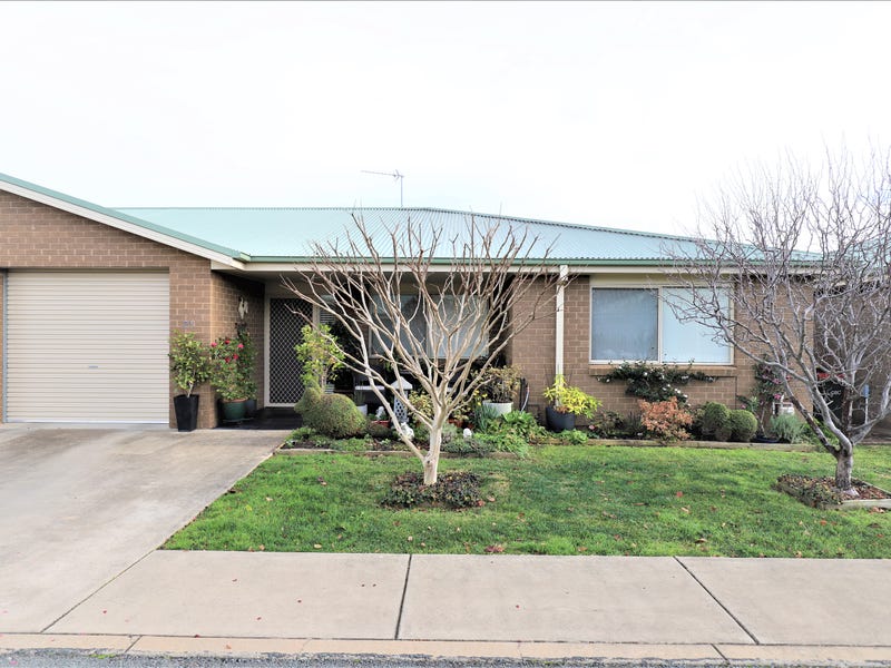 21/8 Short Street, Cootamundra, NSW 2590 House for Sale realestate