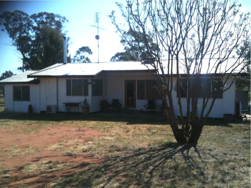 331 Bygoo Road, Ardlethan, NSW 2665