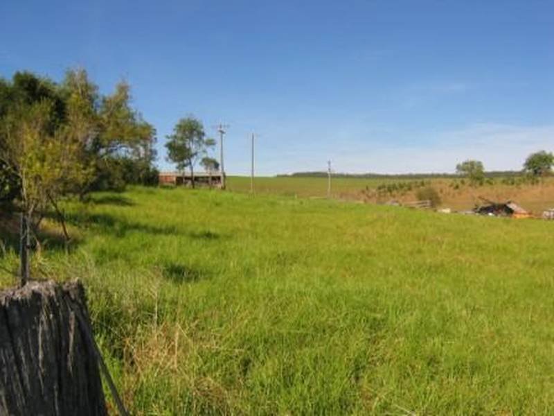 490 Back Forest Road, Far Meadow, NSW 2535