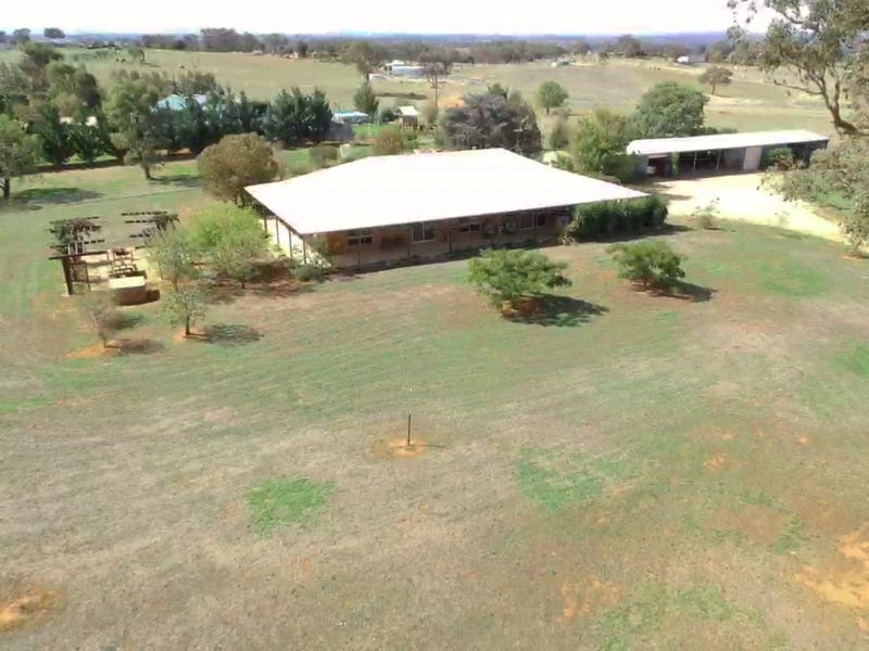 603 Spring Creek Road, Young, NSW 2594