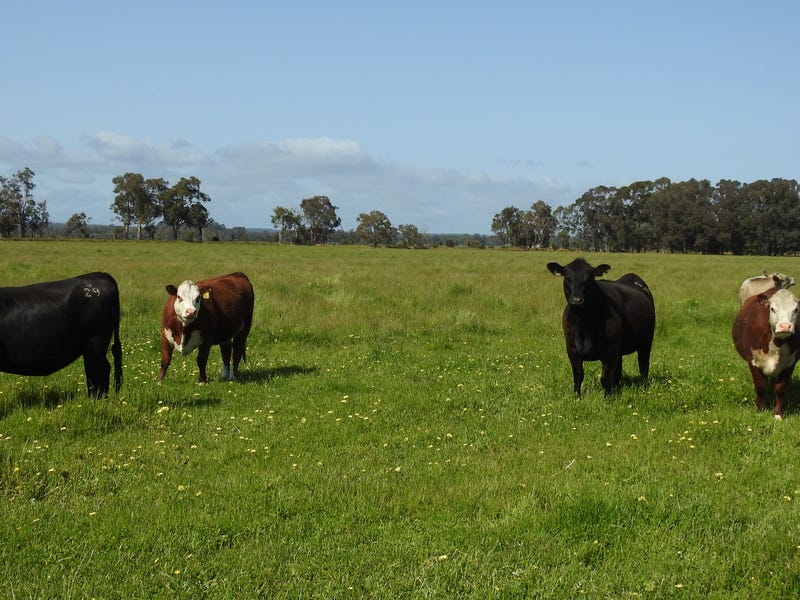 1165 Payne Road (Chapman Hill), Busselton, WA 6280 Property Details