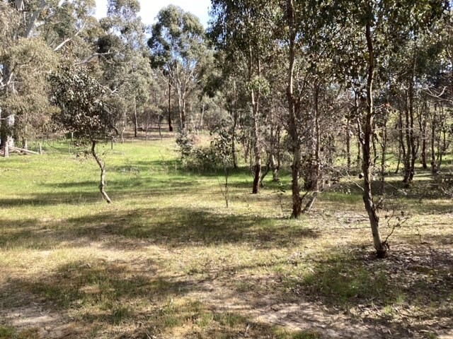 Lot 38B Lexton-Evansford Road, Evansford, Vic 3371 - Lifestyle for Sale ...