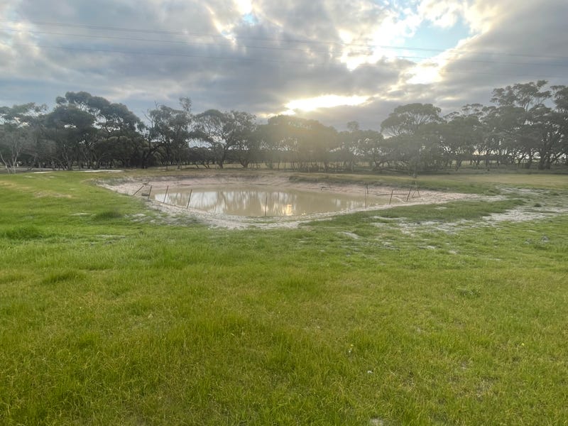 Real Estate for Sale in WA Pg. 29