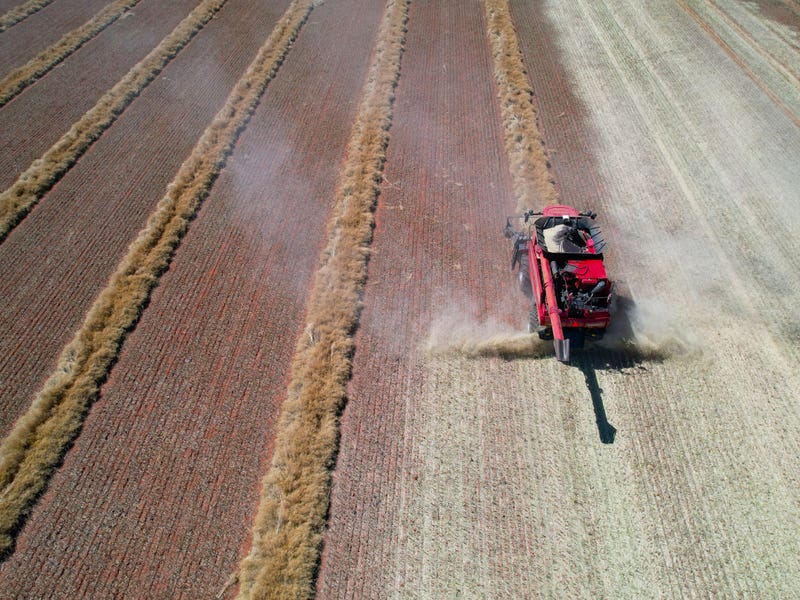 "Tulla" 4243 Peak Hill Tullamore Road, Trundle, NSW 2875 Cropping