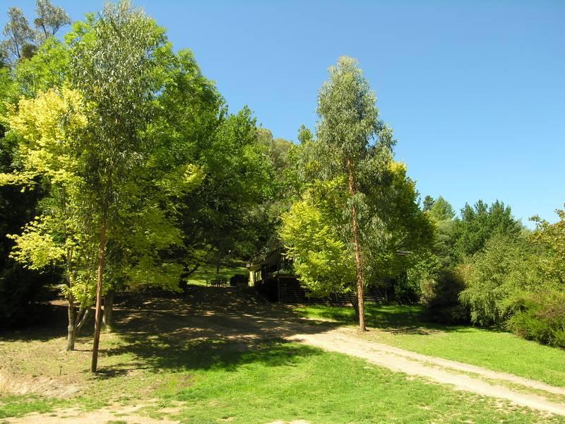 Property 106353039, Jamieson, Vic 3723 Property Details