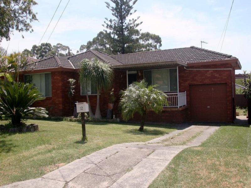 12 Archer Cres, Bankstown, NSW 2200