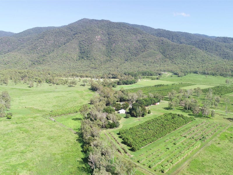 1232 woodstock giru road giru qld 4809 lifestyle for 1232 woodstock giru road giru qld 4809 lifestyle for