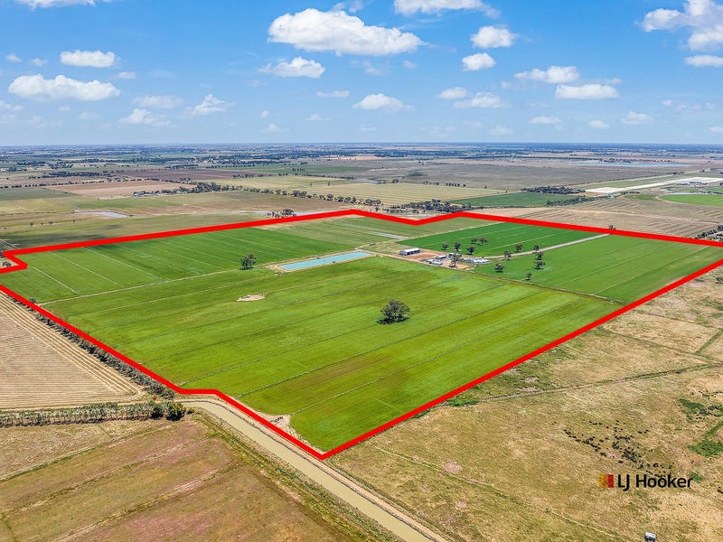459 Echuca West School Road, Echuca, Vic 3564 Cropping for Sale