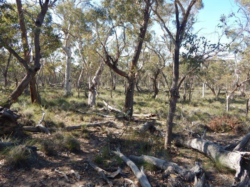 Lot 9, Shannons Flat Road, Cooma, NSW 2630 Property Details