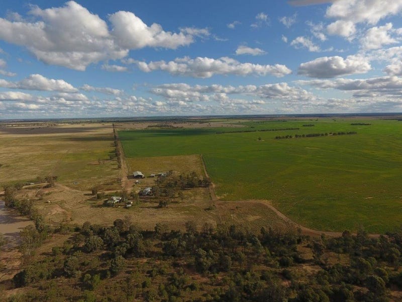 459 Undulla Creek Road, Tara, QLD 4421