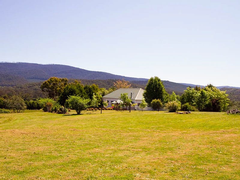 Real Estate & Property for Sale in Buxton, VIC 3711