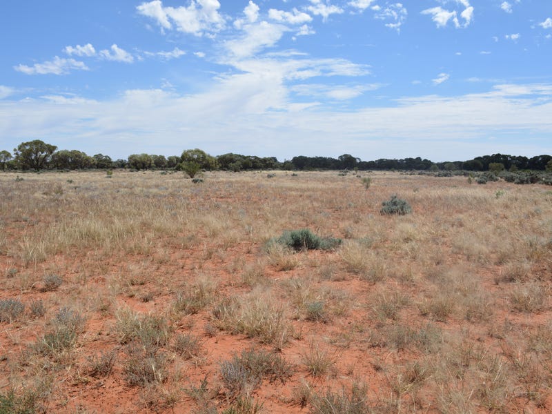 Lot 1826 Teryawynia Coolaminyah Road, Ivanhoe, NSW 2878 Property Details