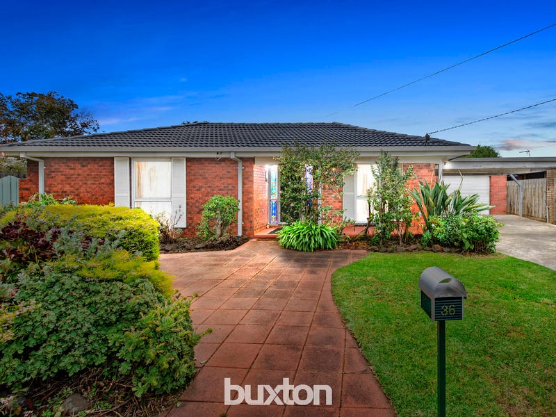 36 Hereford Drive, Belmont, Vic 3216 Property Details