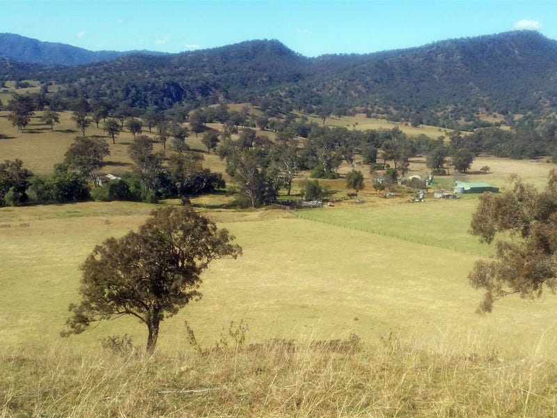 1511 Gundy Road, Gundy, NSW 2337