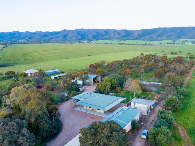 364 Nelshaby Rd, Napperby, SA 5540 - Property Details