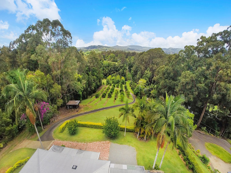 51 Mckees Road, Palmwoods, QLD 4555