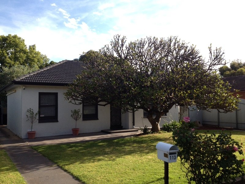 113 Crozier Avenue, Melrose Park, SA 5039
