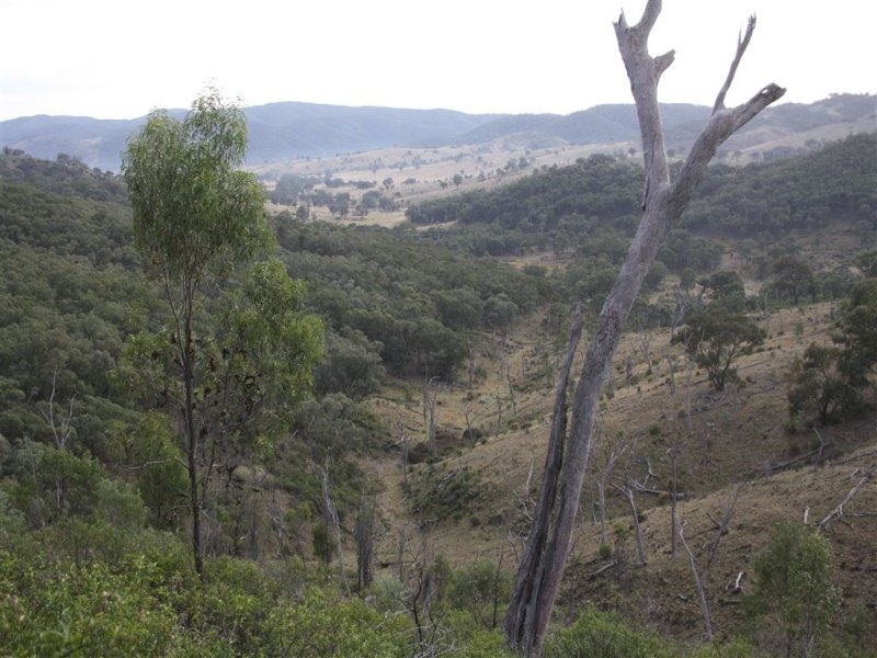 2005 Queens Pinch Road, Meroo, NSW 2850