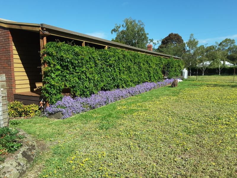 124128 Cox Street, Penshurst, Vic 3289 Property Details