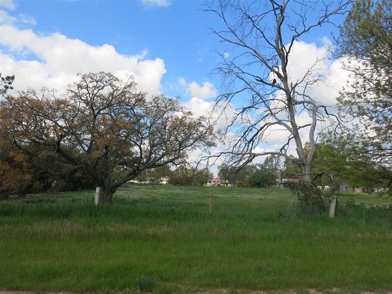 1 Emily Street, The Rock, NSW 2655