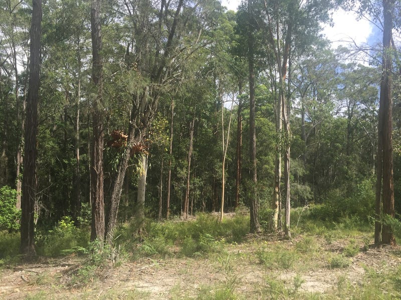 72 Emu Creek Road, Crawford River, NSW 2423