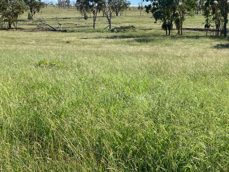 Mountain View, Texas, Qld 4385 Property Details