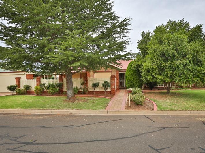 6 Washington Drive, Mildura, Vic 3500 Property Details