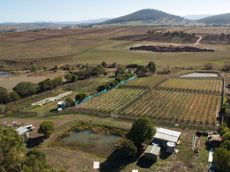 4 Riverdown Court, Forcett, Tas 7173