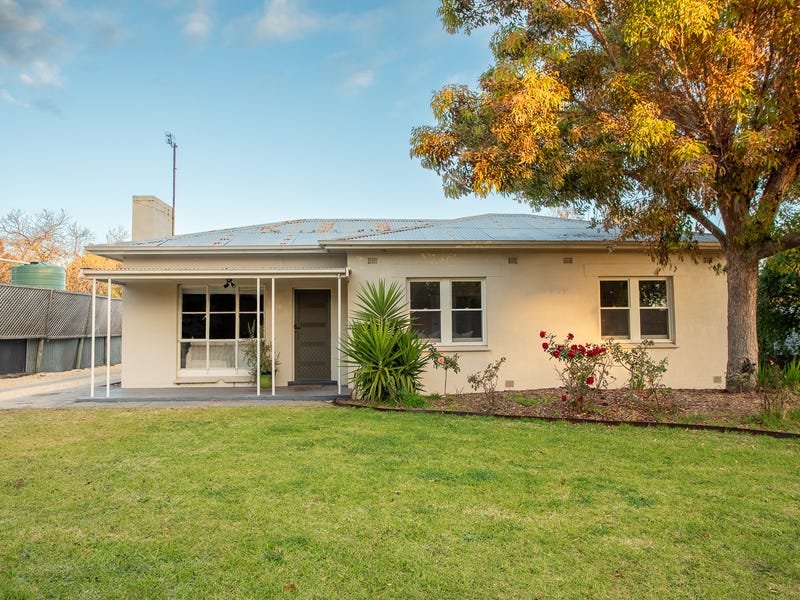 16 Aitchison Avenue, Naracoorte, SA 5271 House for Sale realestate