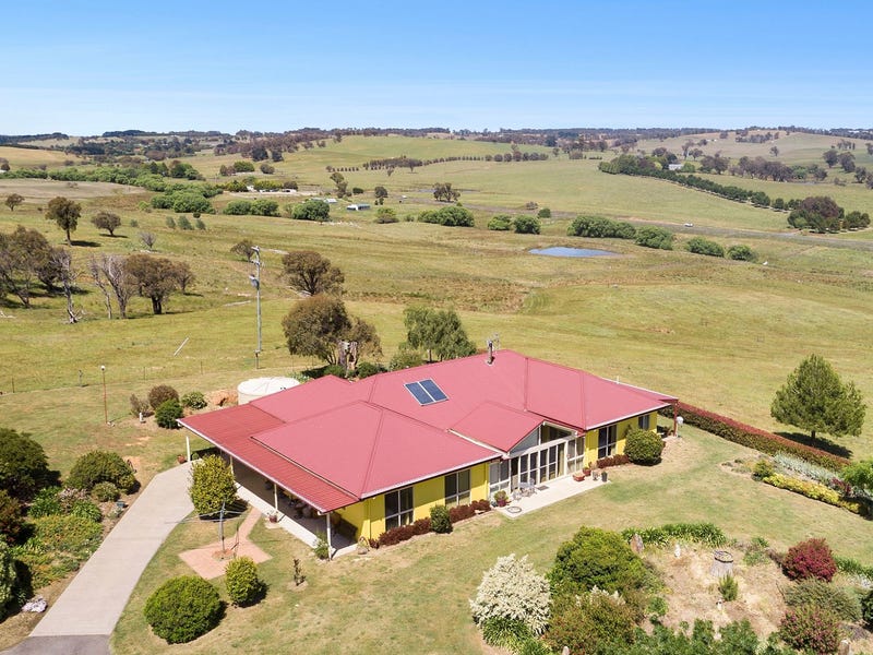 308 Peelwood Road, Laggan, NSW 2583 Livestock for Sale realestate