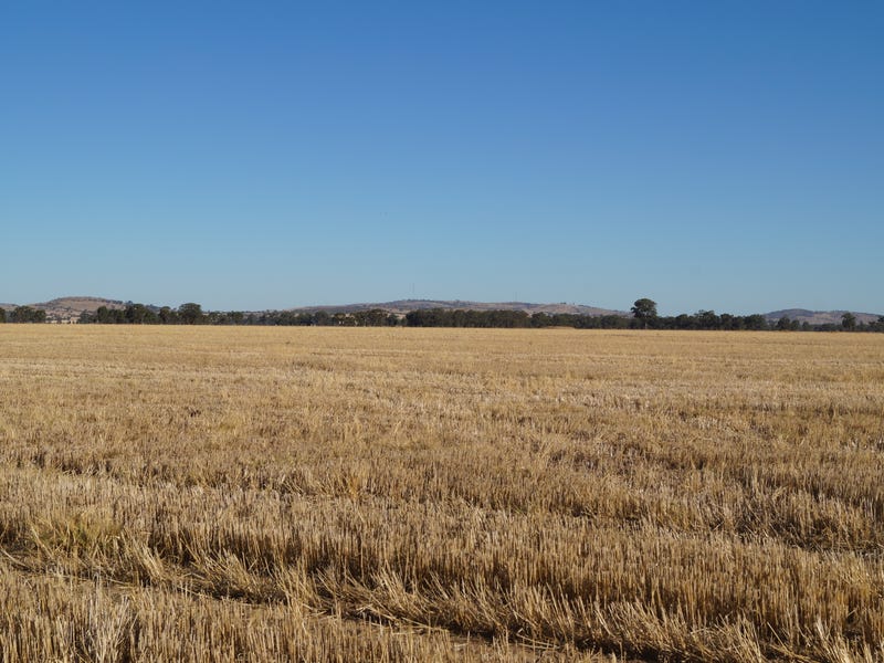 355 Teague Road, Katandra, VIC 3634