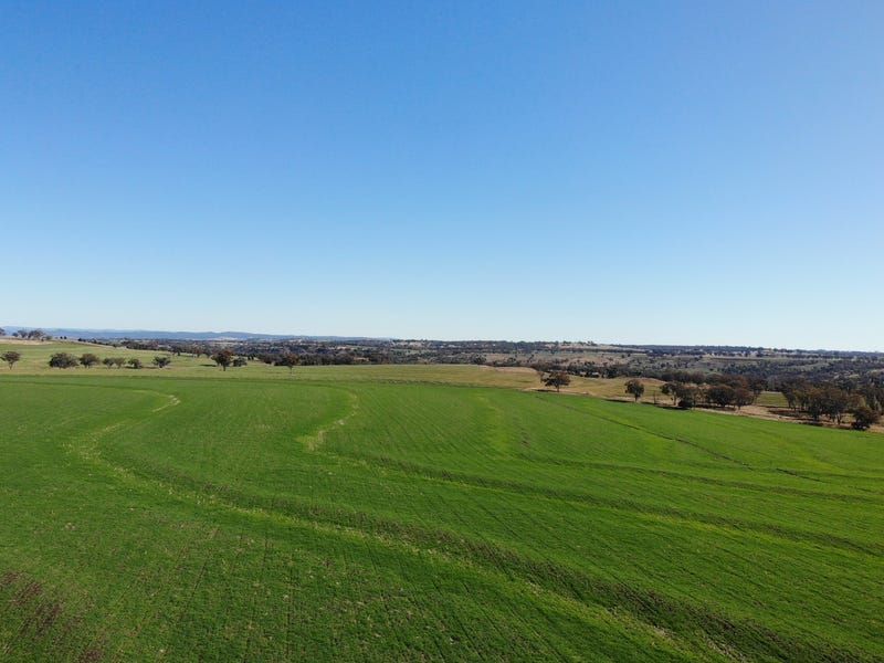Leaders Lane, Delungra, NSW 2403 Property Details