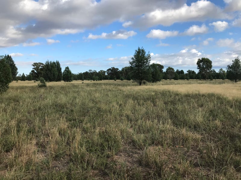 179 Aerodrone Rd, Baradine, NSW 2396 Property Details