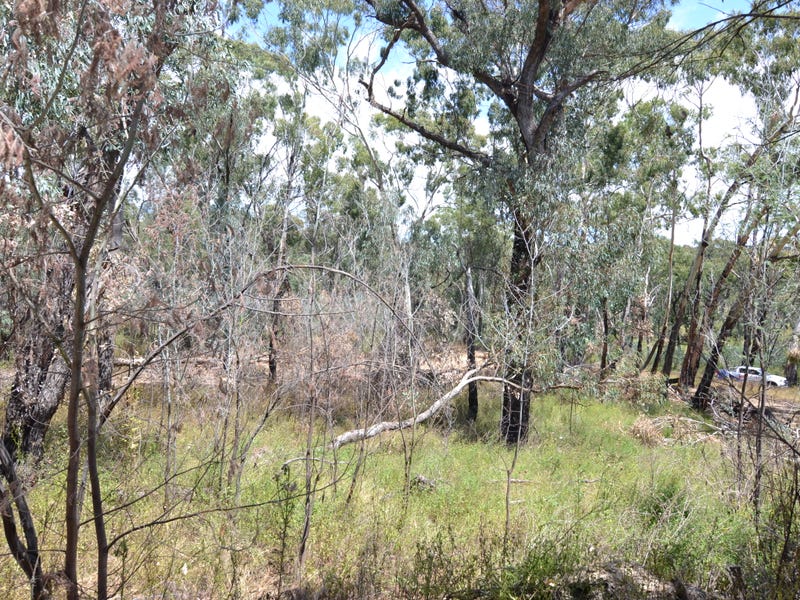 Lot 4, 128 Merinda Street, Hargraves, NSW 2850 Property Details