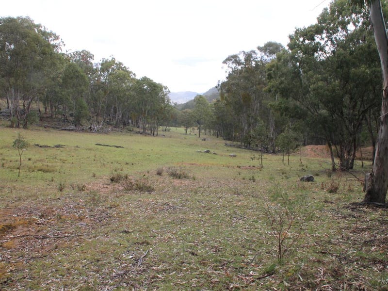 920 Bluff River Road, Tenterfield, NSW 2372 Property Details