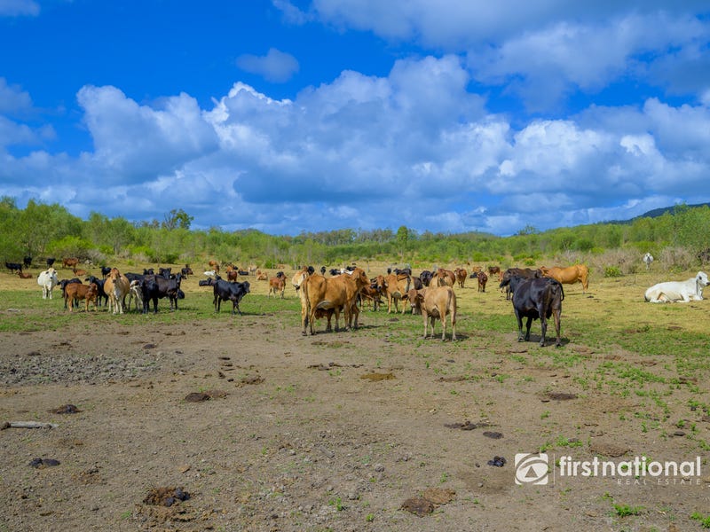 0 rows road lowmead qld 4676 property details