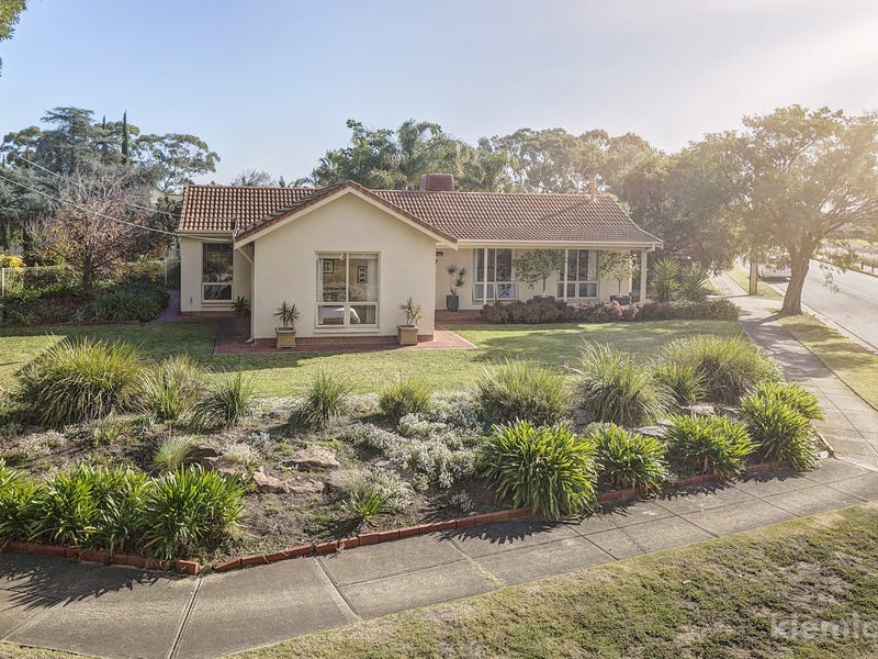 77 Sandison Terrace, Novar Gardens, SA 5040