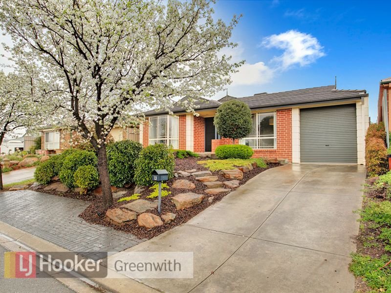 13 Bloomfield Avenue, Greenwith, SA 5125 Property Details