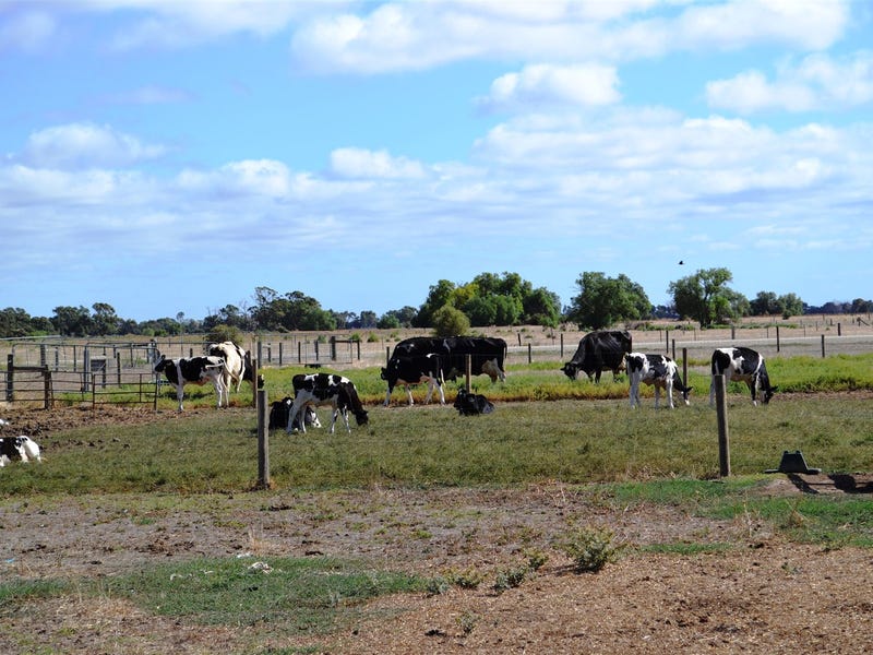 285 Mead Post Office Road, Mead, VIC 3568