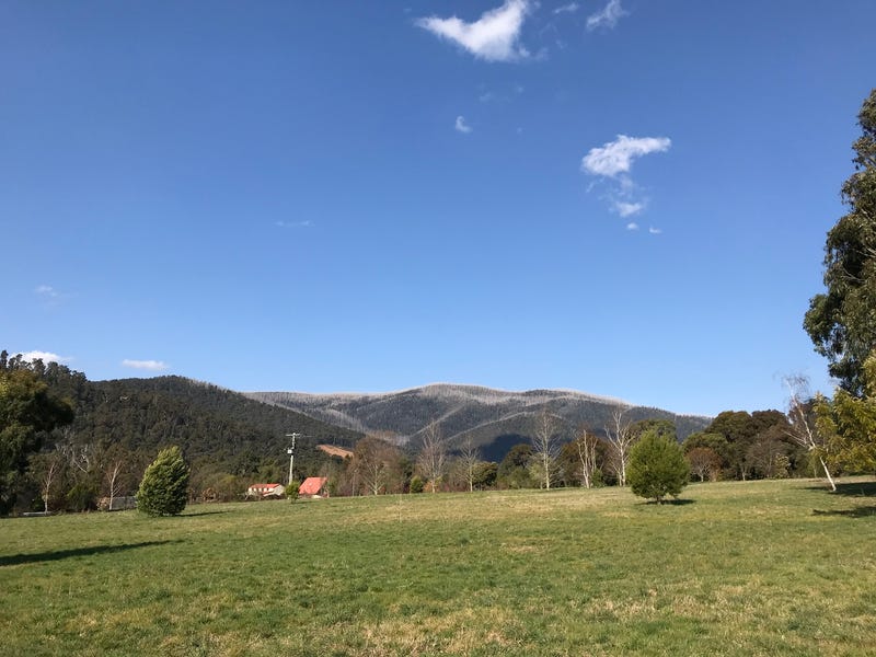 Real Estate & Property for Sale in Buxton, VIC 3711