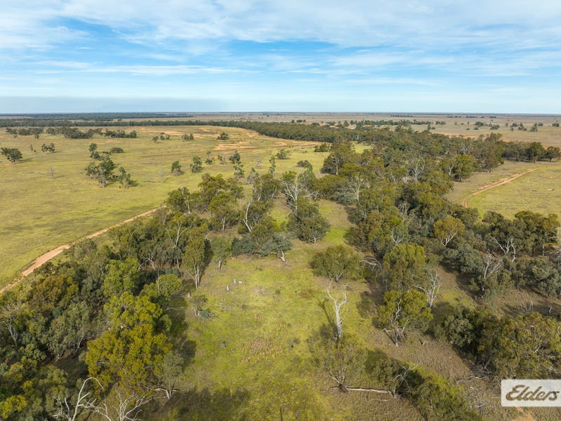 Eriwah & Gum Creek, Townsend Lane, Carrathool, NSW 2711 - Property Details