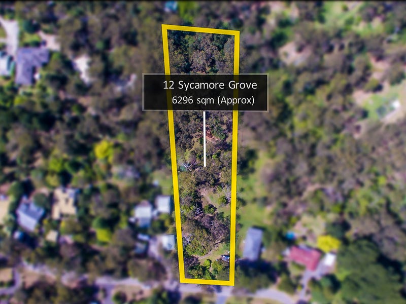 12 Sycamore Grove, Mount Evelyn, Vic 3796