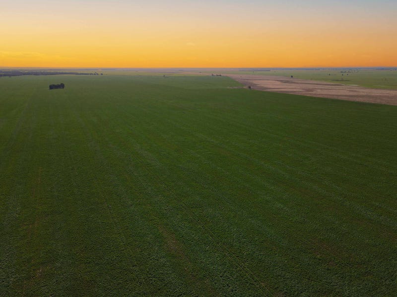 'Williams Crossing' 139 Harris Lane, Quandialla, NSW 2721 Cropping