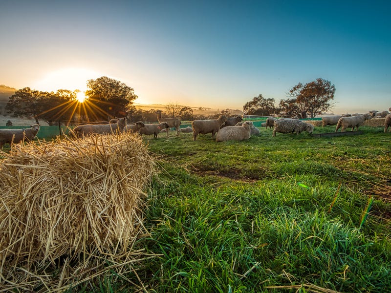 190 Turners Lane, Cootamundra, NSW 2590 Property Details