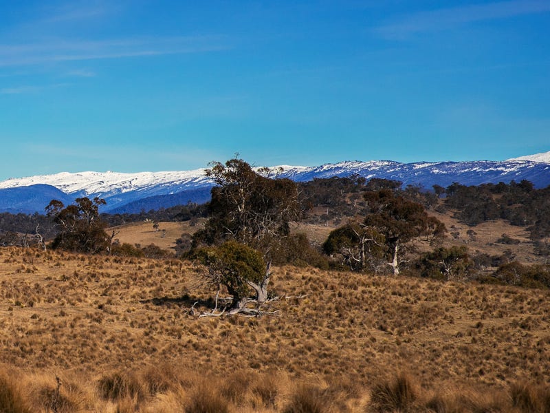 Real Estate & Property for Sale in Coffs Harbour Greater Region, NSW