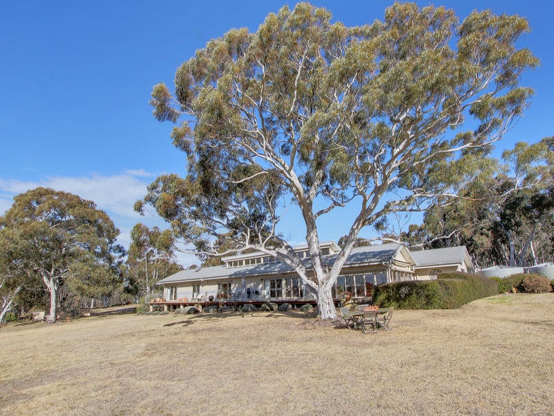 529 Carrick Road, Carrick, NSW 2580