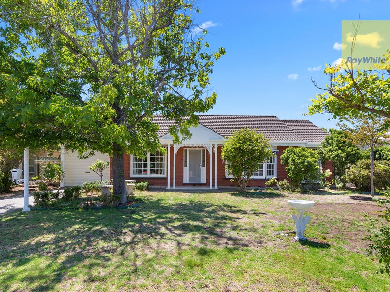 23 Windermere Avenue, Novar Gardens, SA 5040